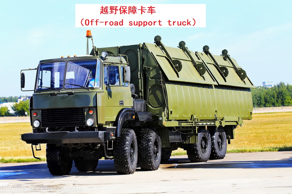 Passenger protection vehicle